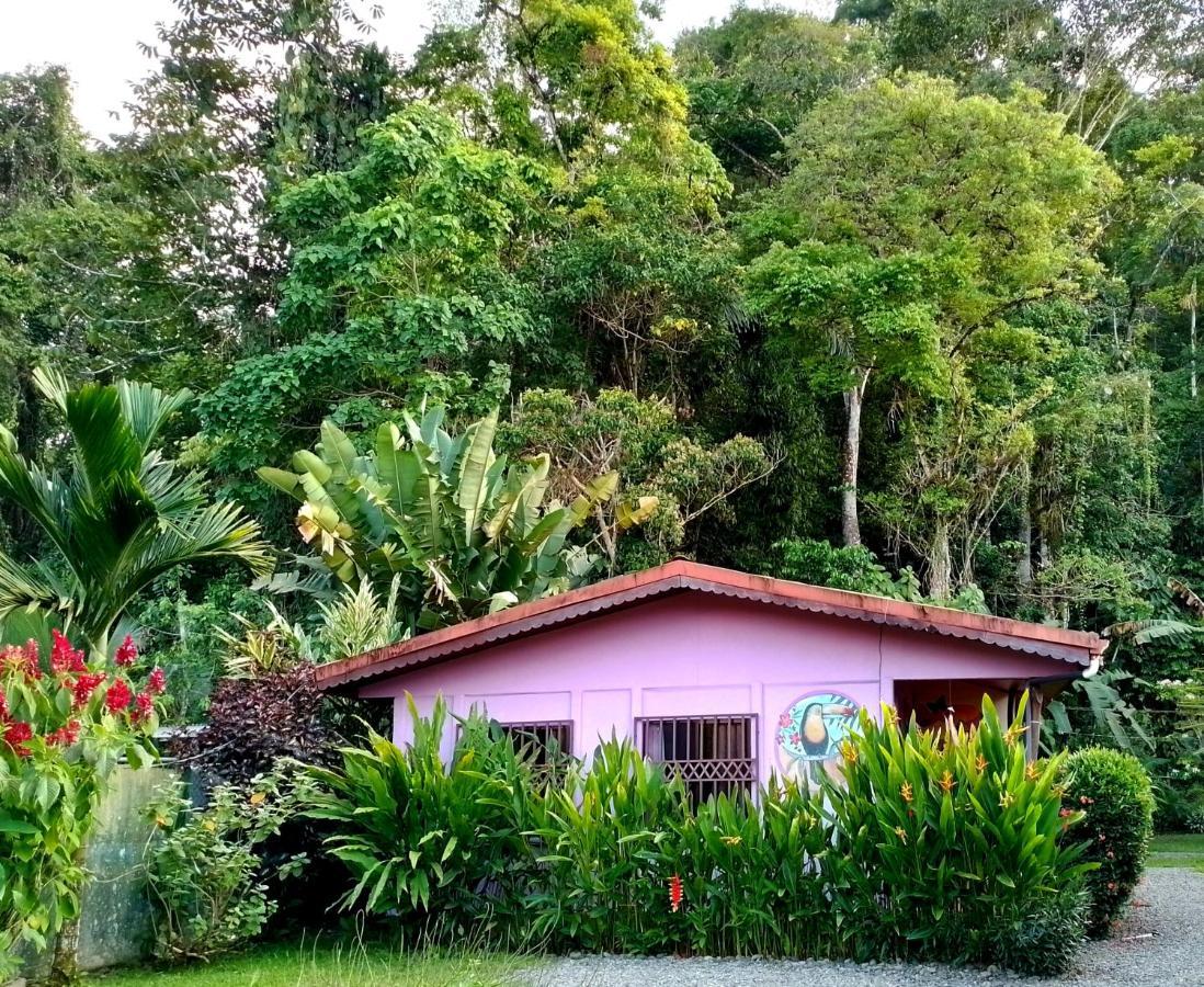 דירות Puerto Viejo de Talamanca Casa Alegra מראה חיצוני תמונה