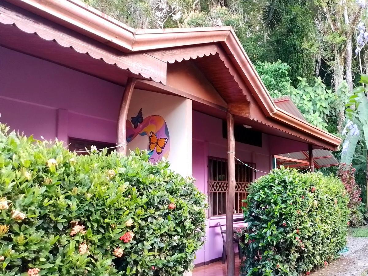 דירות Puerto Viejo de Talamanca Casa Alegra מראה חיצוני תמונה