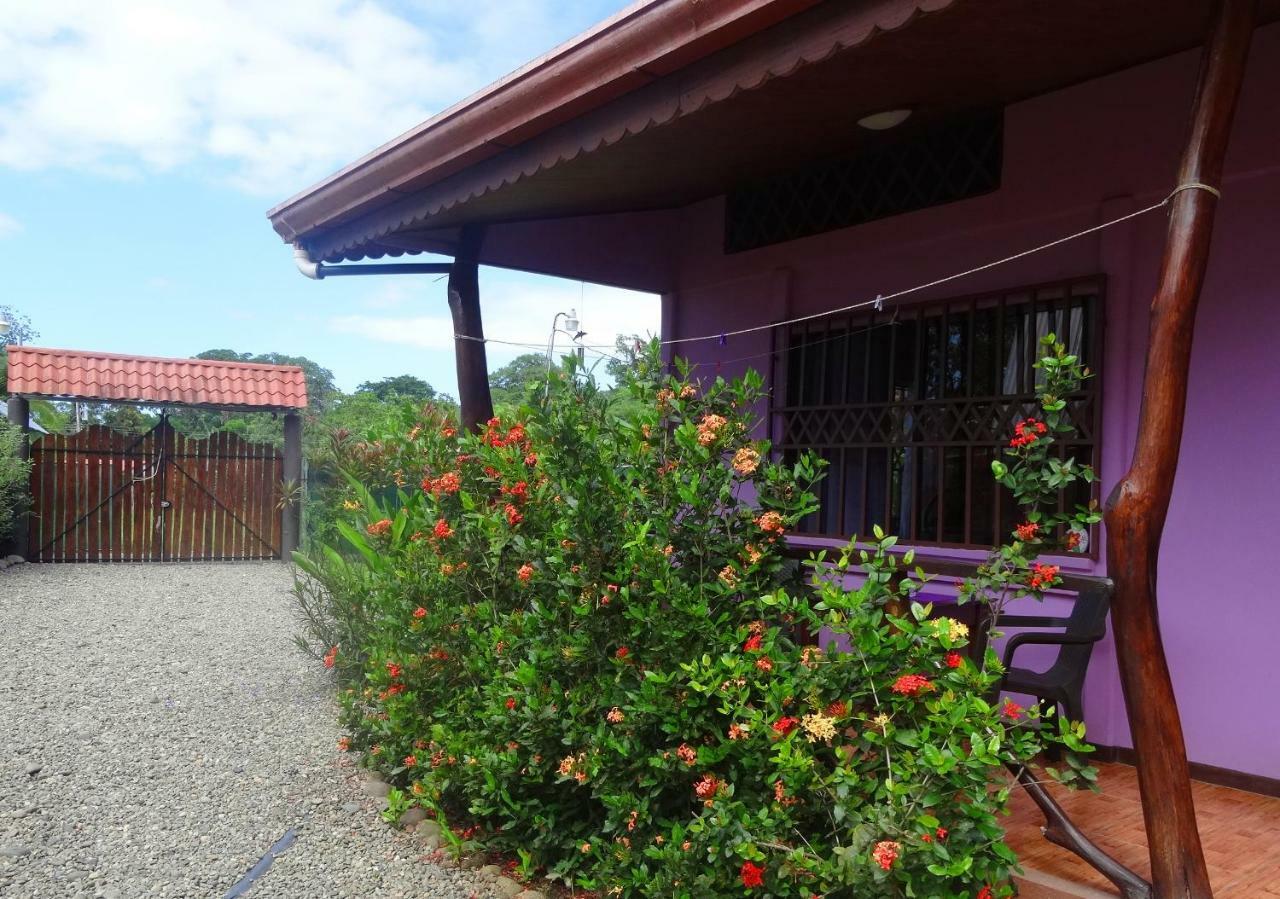 דירות Puerto Viejo de Talamanca Casa Alegra מראה חיצוני תמונה